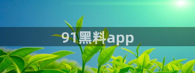 各种网红爆料吃瓜：91黑料app