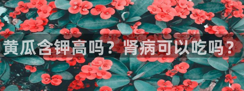 51吃瓜全网更新最快：黄瓜含钾高吗？肾病可以吃吗？