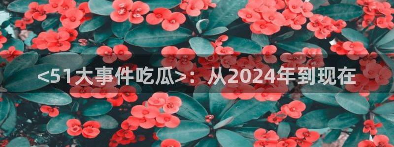 高血糖能吃籽瓜吗：<51大事件吃瓜>：从2024年到现在