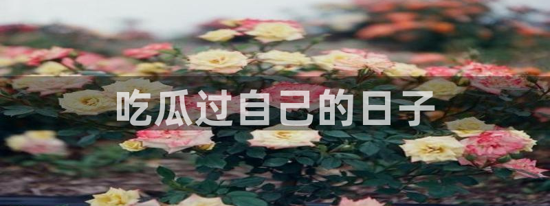 51吃瓜今日必吃刀刀