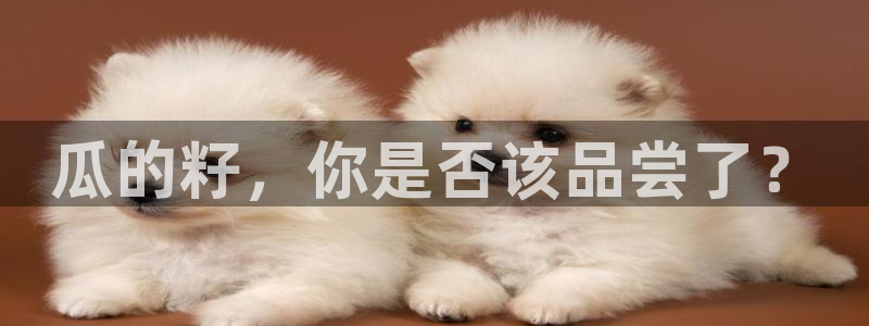 51吃瓜onlyfans网黄