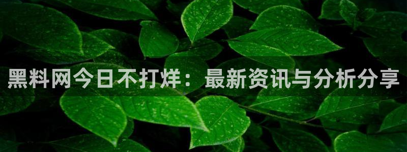 51吃瓜今日吃瓜入口最新：黑料网今日不打烊：最新资讯与分析分享