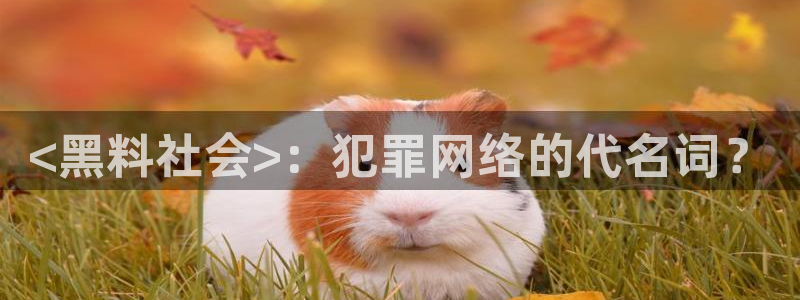 91吃瓜网今日吃瓜入口：<黑料社会>：犯罪网络的代名词？