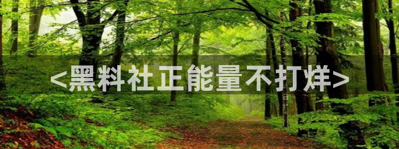 51吃瓜网今日必吃大瓜：<黑料社正能量不打烊>