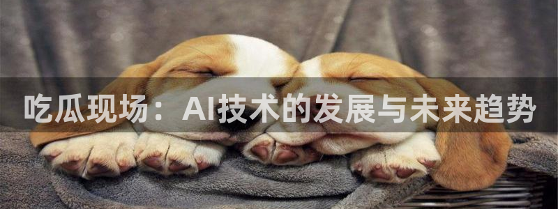 吃瓜去哪个网：吃瓜现场：AI技术的发展与未来趋势