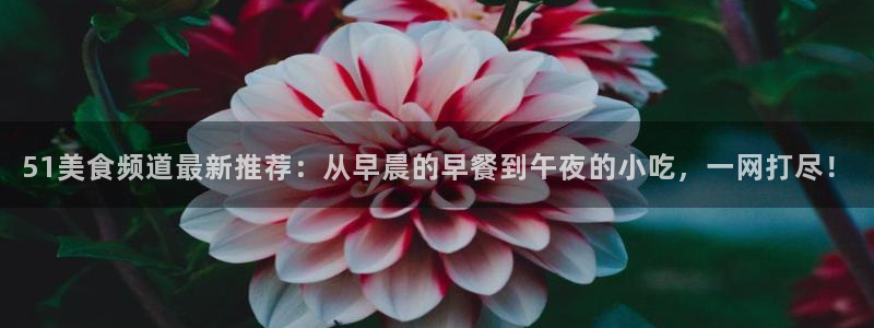 51吃瓜今日吃瓜最新网址