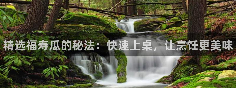 高血糖可以吃籽瓜吗：精选福寿瓜的秘法：快速上桌，让烹饪更美味