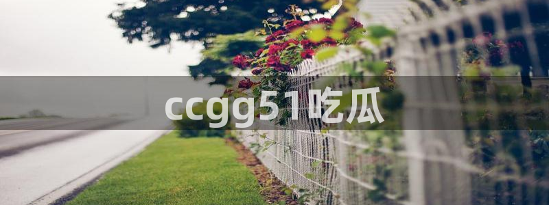 51吃瓜网张津瑜：ccgg51吃瓜