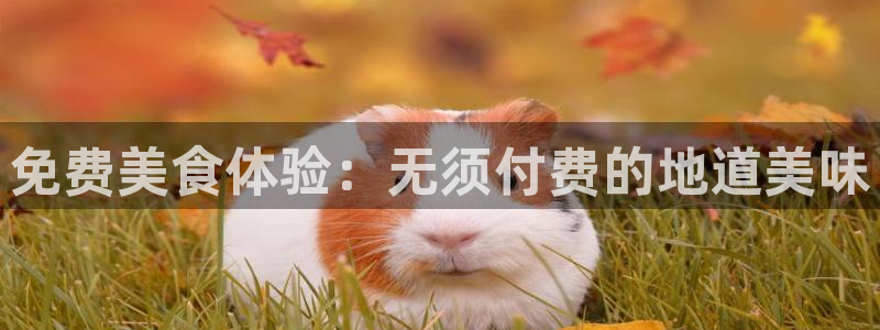 51吃瓜热心张津瑜：免费美食体验：无须付费的地道美味