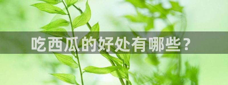 吃瓜下载：吃西瓜的好处有哪些？