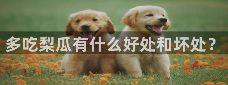 51吃瓜网今日必吃每日大瓜