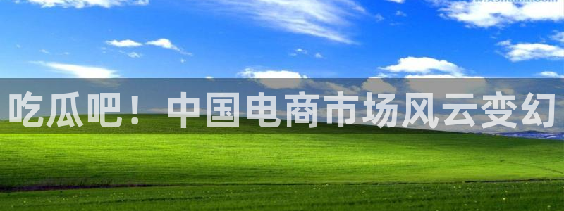 黑料.：吃瓜吧！中国电商市场风云变幻