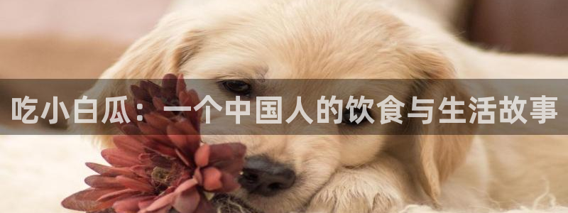 高血糖能吃籽瓜吗：吃小白瓜：一个中国人的饮食与生活故事
