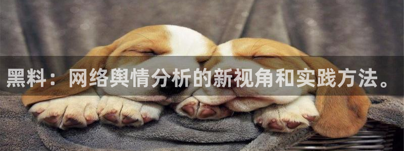51吃瓜出品短剧怎么下载：黑料：网络舆情分析的新视角和实践方法。
