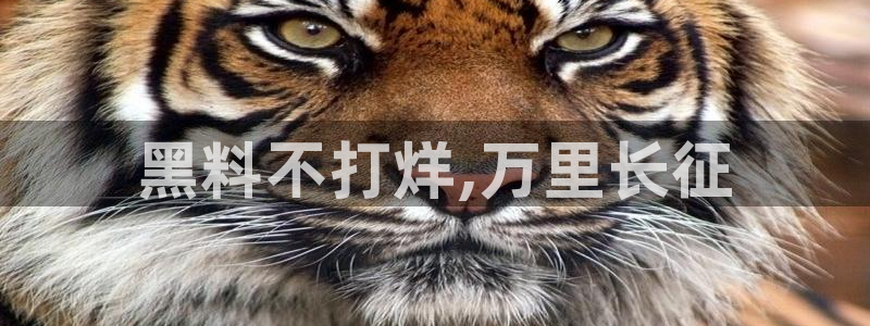51cg今日吃瓜热门大瓜：黑料不打烊,万里长征