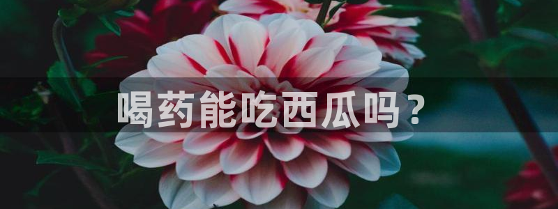 51吃瓜今日吃瓜必吃莫里：喝药能吃西瓜吗？