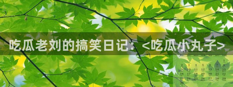 51吃瓜网 张津瑜：吃瓜老刘的搞笑日记：<吃瓜小丸子>