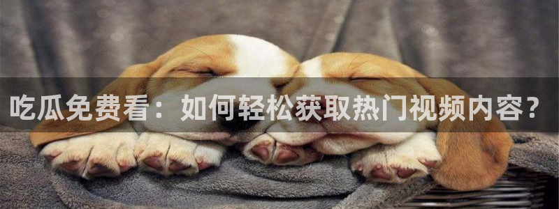 长生武道从九龙夺嫡开始吃瓜：吃瓜免费看：如何轻松获取热门视频内容？
