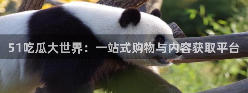 51cgfun吃瓜网怎么进：51吃瓜大世界：一站式购物与内容获取平台