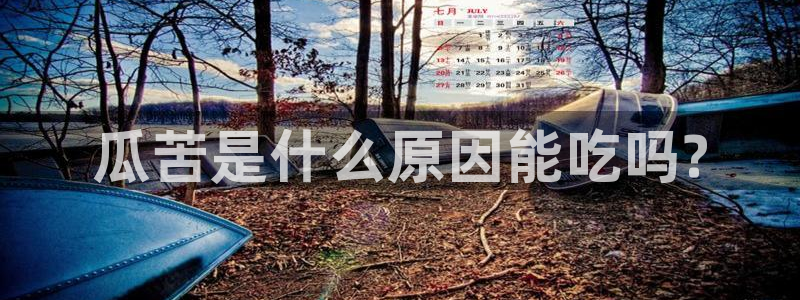 51热门大瓜今日吃瓜