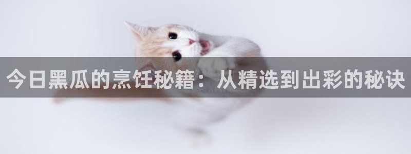 51吃瓜全网更新最快的吃瓜网：今日黑瓜的烹饪秘籍：从精选到出彩的秘诀
