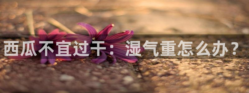 板栗瓜怎样做最好吃：西瓜不宜过干：湿气重怎么办？