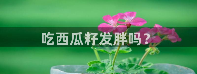 58吃瓜今日吃瓜入口:吃西瓜籽发胖吗?