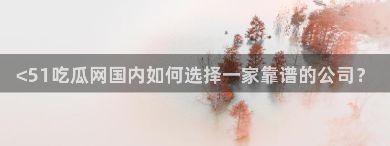 吃瓜www：<51吃瓜网国内如何选择一家靠谱的公司？