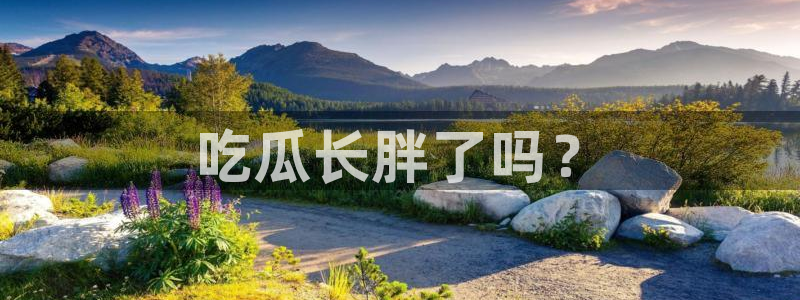 豆瓣自由吃瓜基地：吃瓜长胖了吗？