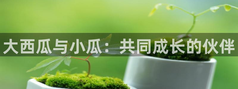 51吃瓜全网更新最快:大西瓜与小瓜:共同成长的伙伴